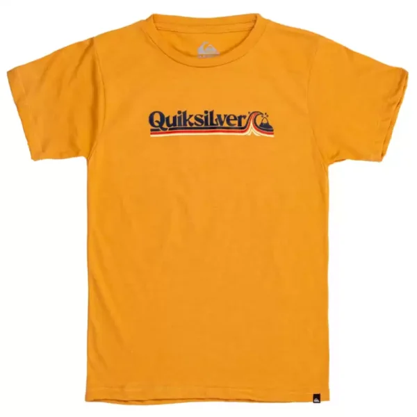 Remera Quiksilver All Lined Up Kid