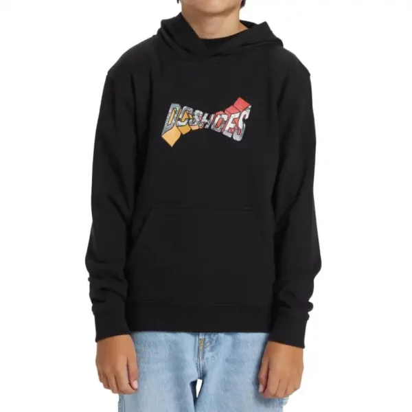 Hoodie DC Shoes Warped Kids Hoodie DC Shoes Warped Kids