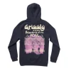 Hoodie Grizzly Sanskrit