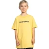 Remera DC Shoes Whereabouts Kid