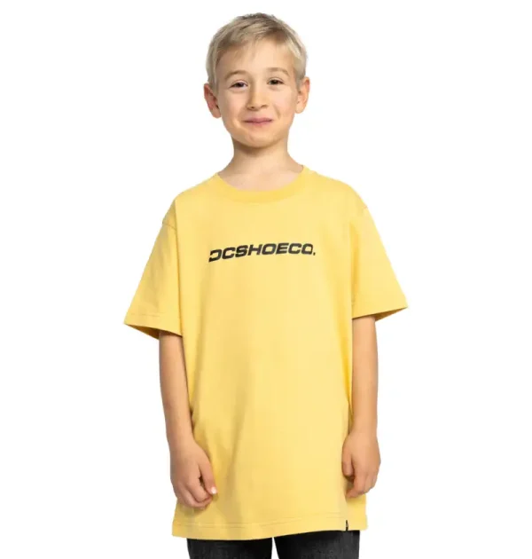 Remera DC Shoes Whereabouts Kid