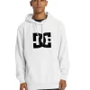 Hoodie DC Shoes Star Blanco