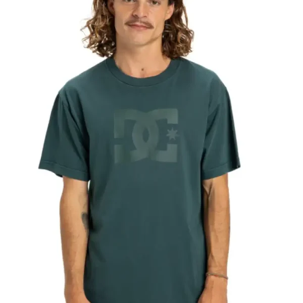 Remera DC Shoes Pigment Dye Remera DC Shoes Pigment Dye